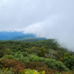 Shenandoah National Park