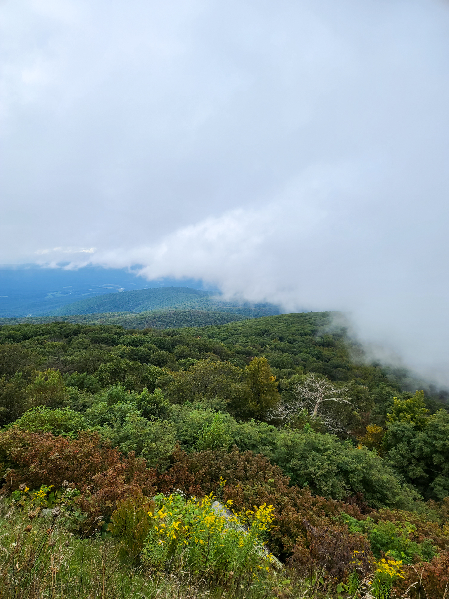 Shenandoah Valley